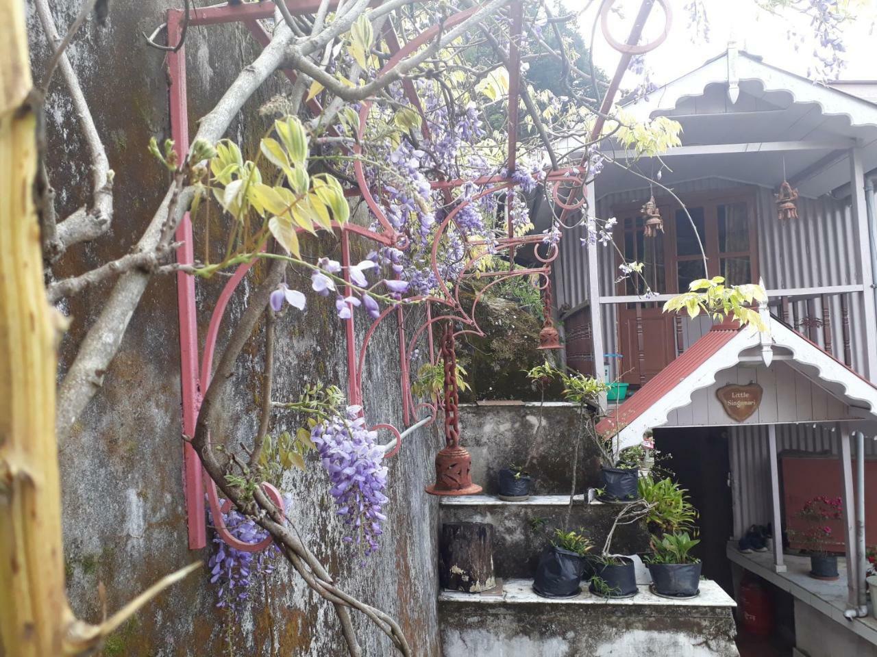 Little Singamari Home Stay Darjeeling  Ngoại thất bức ảnh