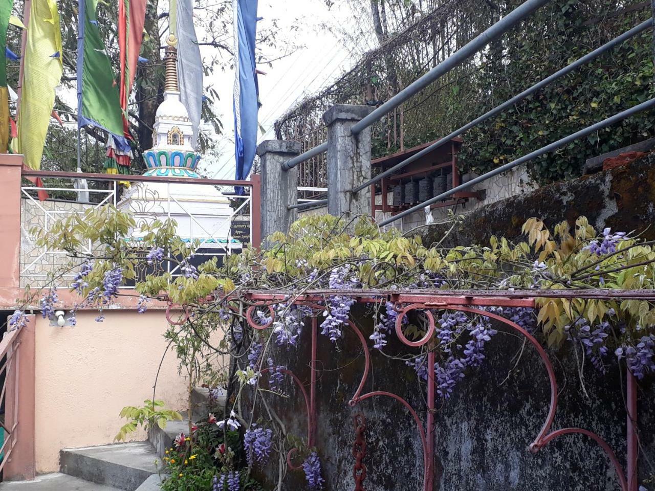 Little Singamari Home Stay Darjeeling  Ngoại thất bức ảnh