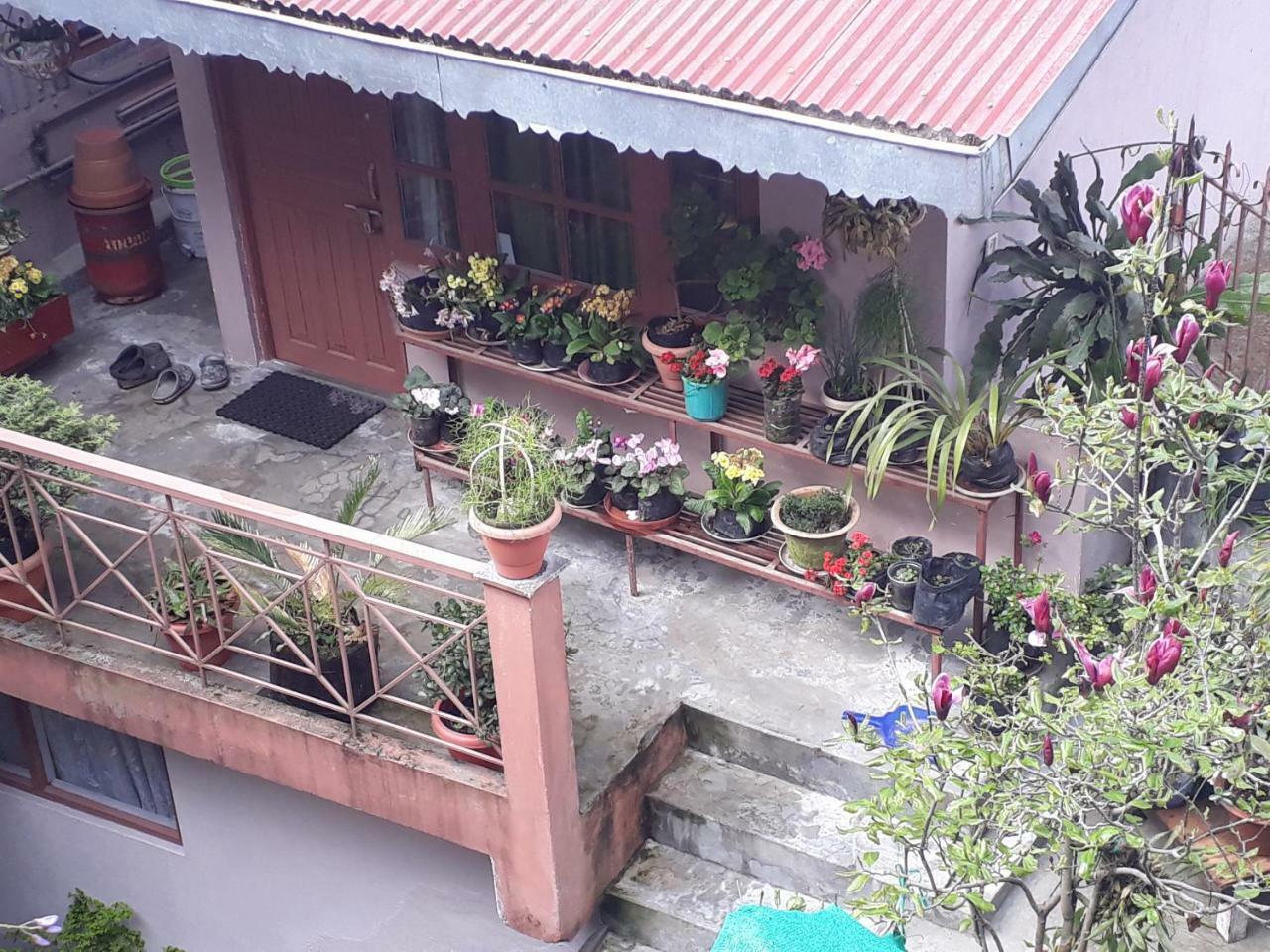 Little Singamari Home Stay Darjeeling  Ngoại thất bức ảnh