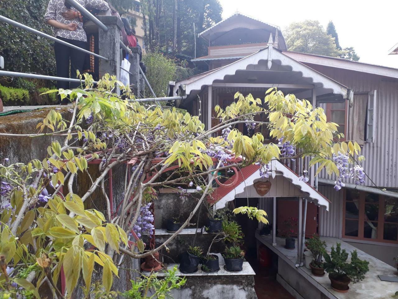 Little Singamari Home Stay Darjeeling  Ngoại thất bức ảnh