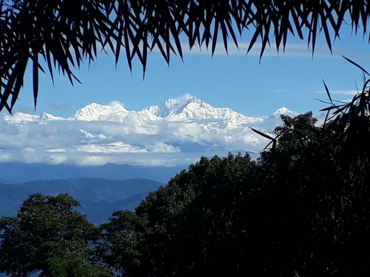 Little Singamari Home Stay Darjeeling  Ngoại thất bức ảnh