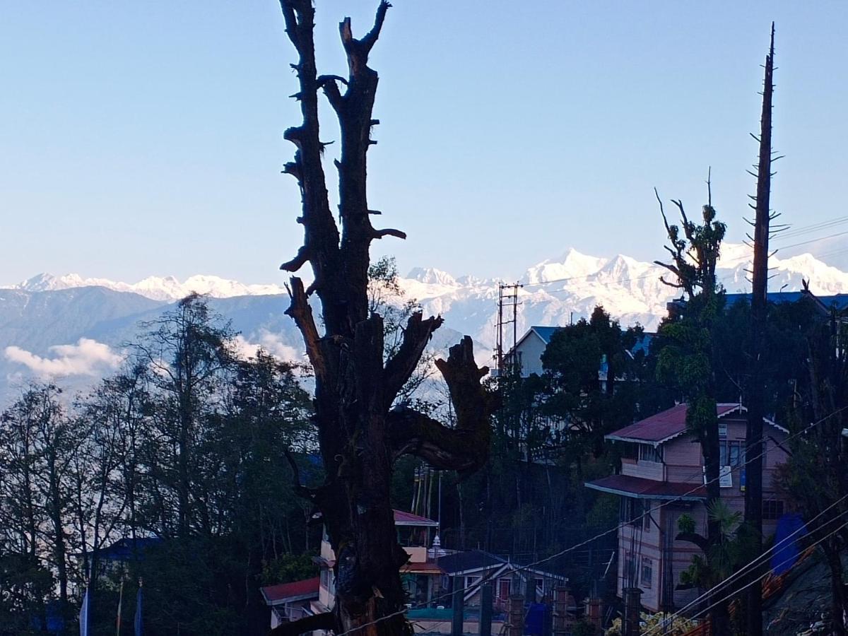 Little Singamari Home Stay Darjeeling  Ngoại thất bức ảnh